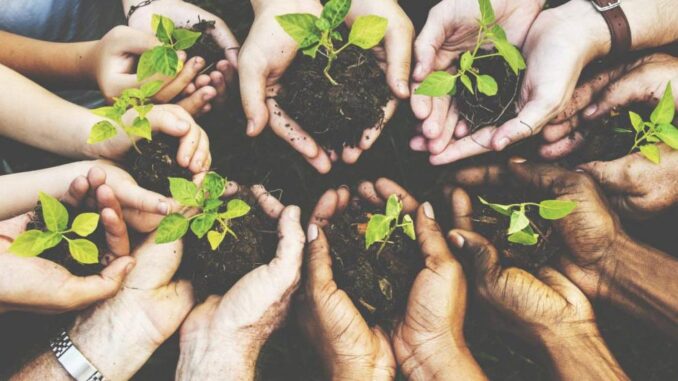 Gestión Ambiental Gestión Ambiental