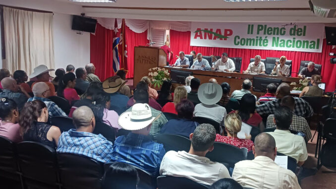 Pleno ANAP