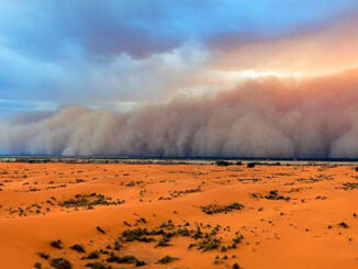 Polvos De Sahara