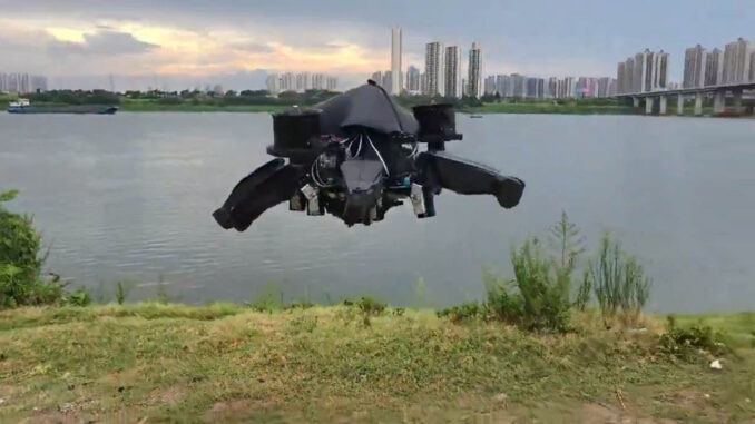 Dron