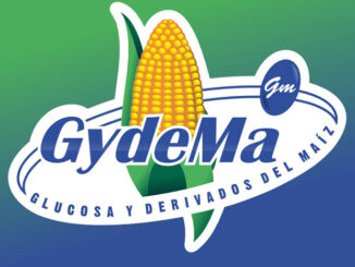 Gydema