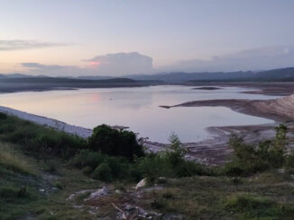 Presa Cautillo