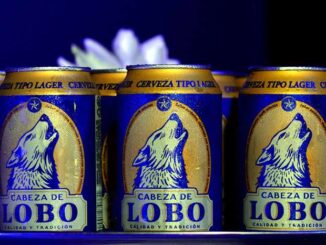 Cabeza de Lobo