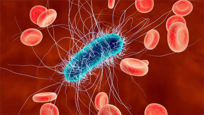 bacterias- resistencia- antibióticos
