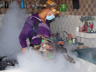 Granma - Campaña Antivectorial